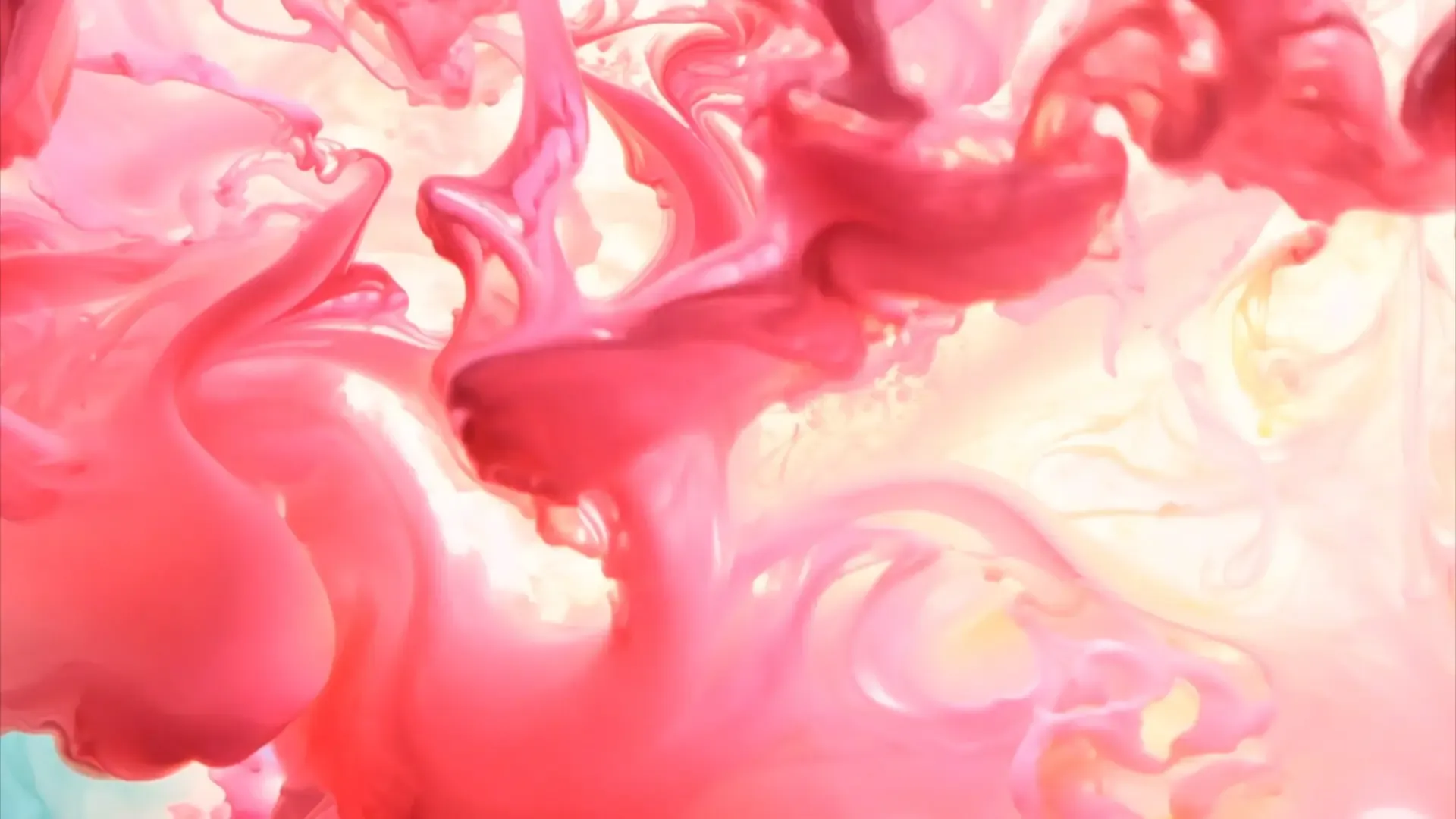 Pink Fluid Transition for Product Demo Videos